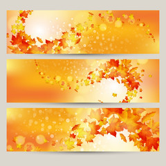 Fototapeta na wymiar Vector set of colorful autumn leaves banners illustration 