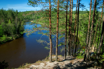 River and forest
