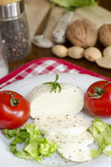 Mozzarella with salad and tomatoes and some ingredients