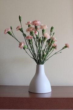 Fototapeta Simple composition of pastel color carnation
