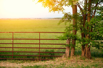 Wooden fence on pasture © Creaturart