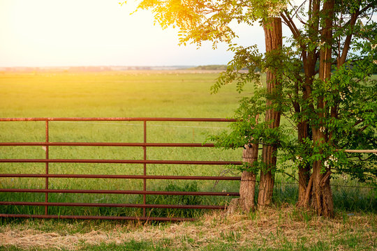 Wooden Fence On Pasture