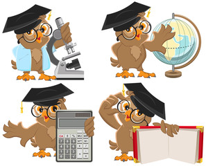 Fototapeta premium Set owls teachers