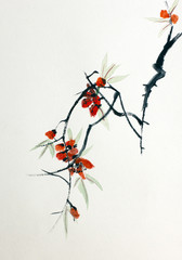 Blooming Sakura