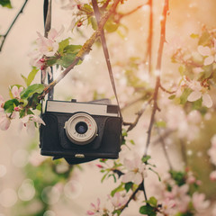 Old retro the camera hangs on an apple-tree in sunny spring day/