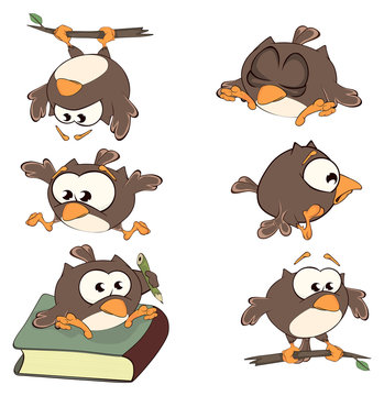 Set of cute owls for you design. Vector icons. Cartoon