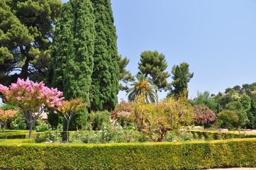 Obraz premium Alhambra in Granada