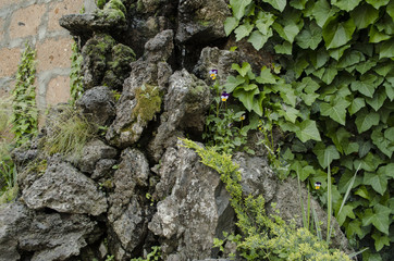Cover part the wall in the garden the porous stone 