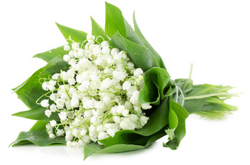 bouquet of lily of the valley isolated on the white background