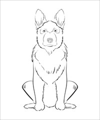 Illustration of hand drawn dog