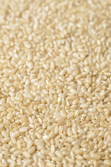 background of brown rice