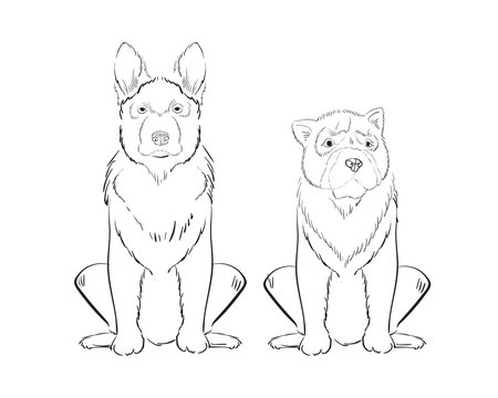Illustration of hand drawn dogs