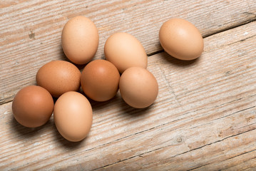egg