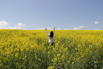 yellow field and girl