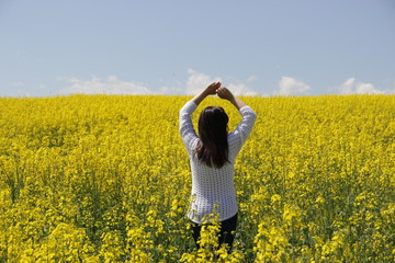 Fototapeta premium yellow field and girl