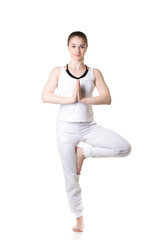 Yoga Vrikshasana pose