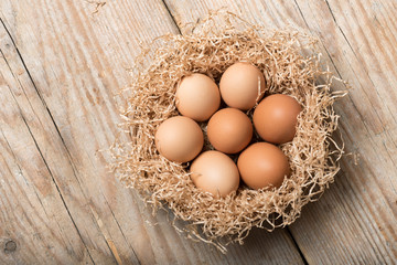 eggs