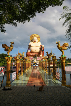 Statue of Buddha / Temple