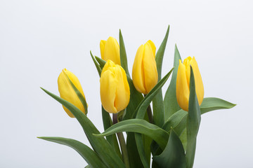 Flower bouquet from yellow tulips