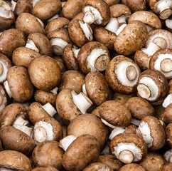 Mushrooms champignon