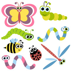 Set of insects