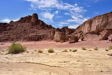 Negev desert