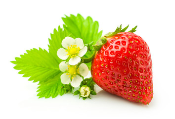 Fresh ripe strawberry with leaf and flowers