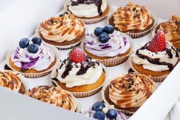 Set of different  cupcakes in a  box