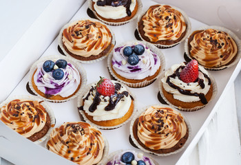 Set of different  cupcakes in a  box