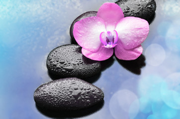 Spa concept. Flower pink orchid and stones.
