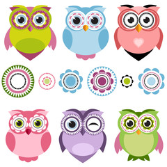 Fototapeta premium Cute cartoon color owls set