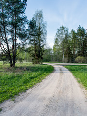Fototapeta premium empty country road in forest