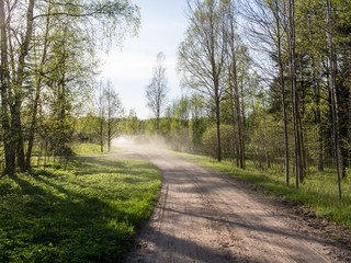 empty country road in forest with dust