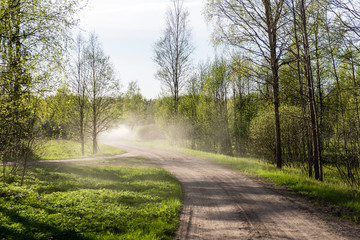 empty country road in forest with dust