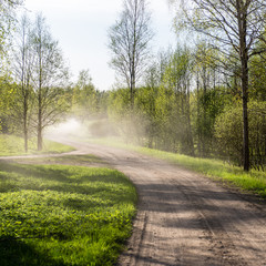 empty country road in forest with dust