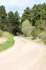 empty country road in spring