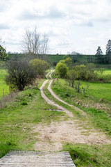 empty country road in forest
