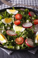 Salad with eggs and spring vegetables close-up, vertical

