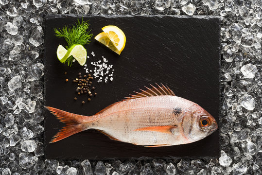 Fresh Red Snapper Fish On A Black Stone Plate Top View