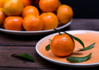 brunch of tangerines