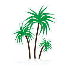 simple tropical green palm trees symbols eps10