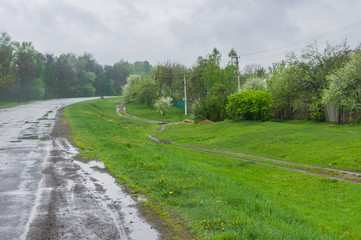 Fototapeta na wymiar Ukrainian landscape at cloudy and rainy spring day
