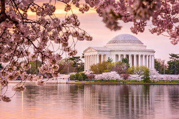 Jefferson Memorial