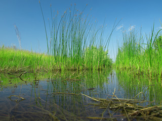 peat bog - the national park