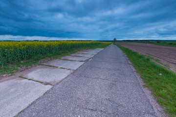 Rural asphalt road near fields in springtime. 
