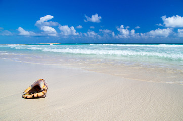 Fototapeta na wymiar caribbean beach
