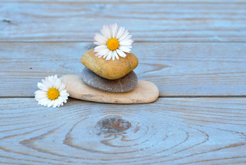 Obraz na płótnie Canvas Zen stones on a old wooden background with daisies