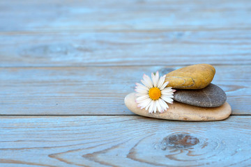 Zen stones on a old wooden background with daisies