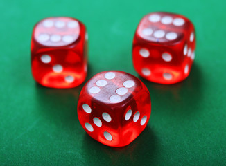 Dices