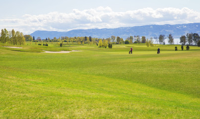 Fototapeta na wymiar Large green professional golf course in europe 